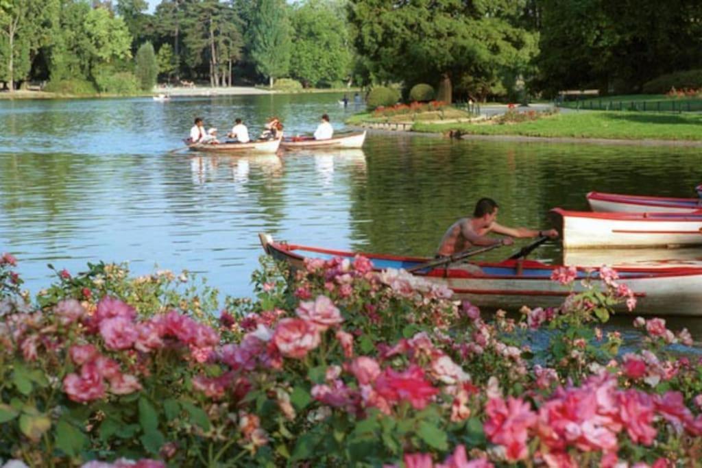 Lovely Apartment Betwen Paris And Eurodisney Nogent-sur-Seine 외부 사진