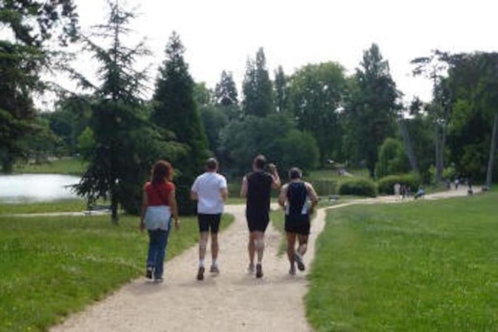 Lovely Apartment Betwen Paris And Eurodisney Nogent-sur-Seine 외부 사진